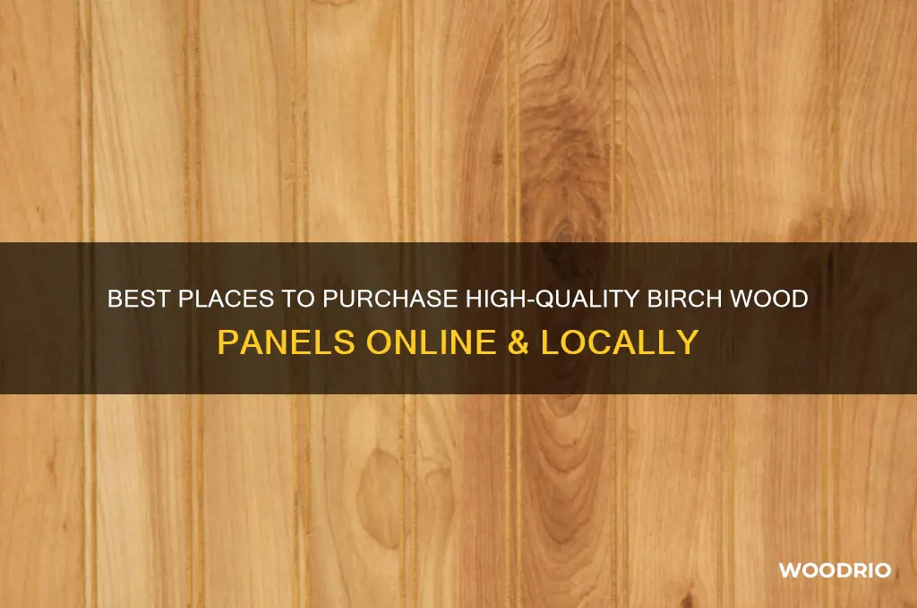where to buy birch wood panels