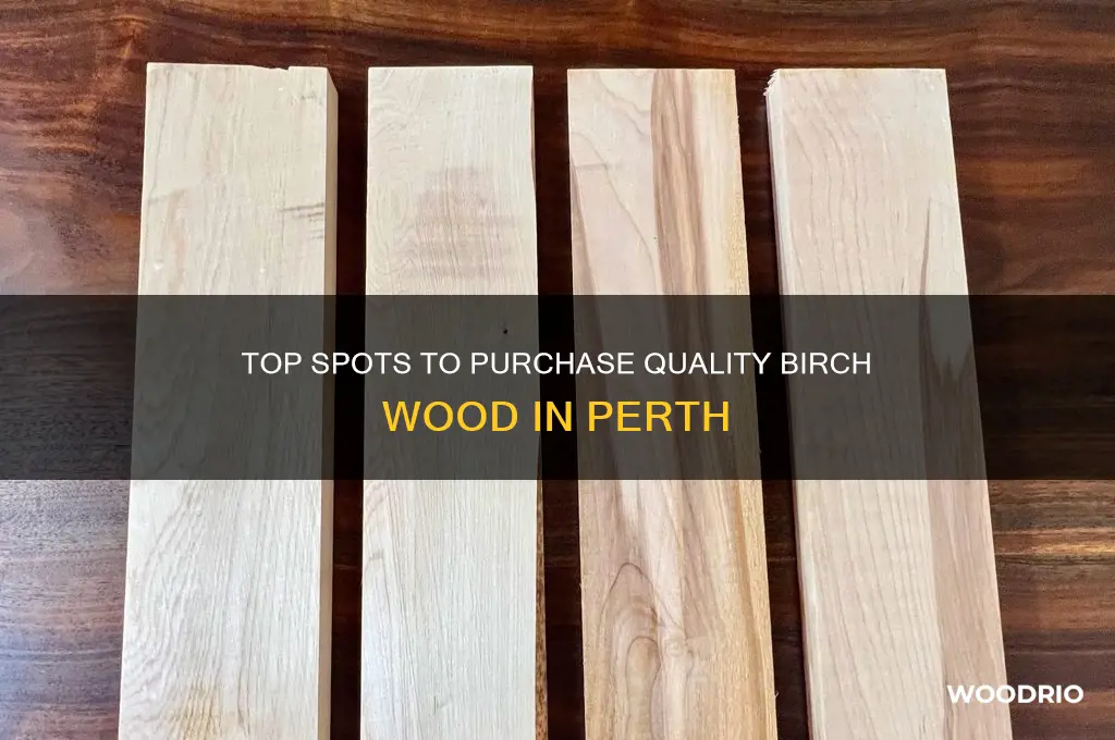 where to buy birch wood perth