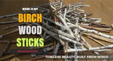 Best Places to Purchase High-Quality Birch Wood Sticks Online & Locally