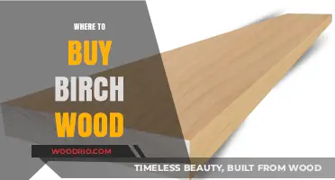 Best Places to Purchase High-Quality Birch Wood for Your Projects