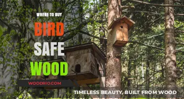 Finding Bird-Safe Wood: Top Sources for Avian-Friendly Materials
