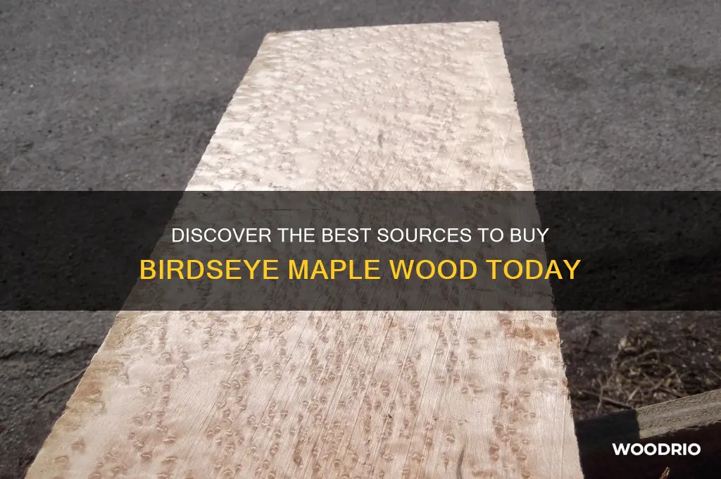 where to buy birdseye maple wood