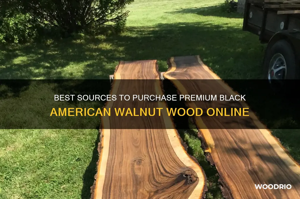 where to buy black american walnut wood