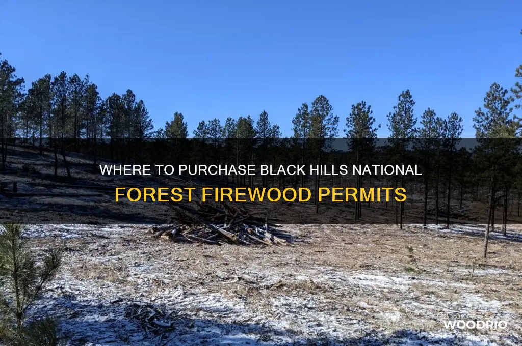 where to buy black hills national forest fire wood permit