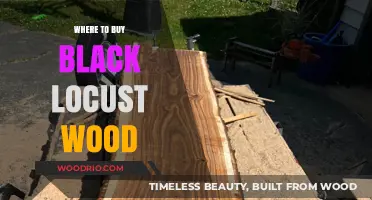 Where to Buy Black Locust Wood: Top Sources and Tips