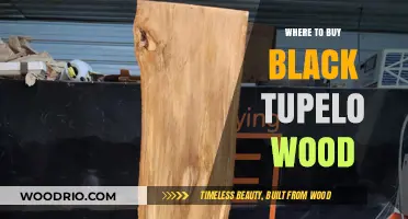 Best Places to Purchase High-Quality Black Tupelo Wood Online and Locally