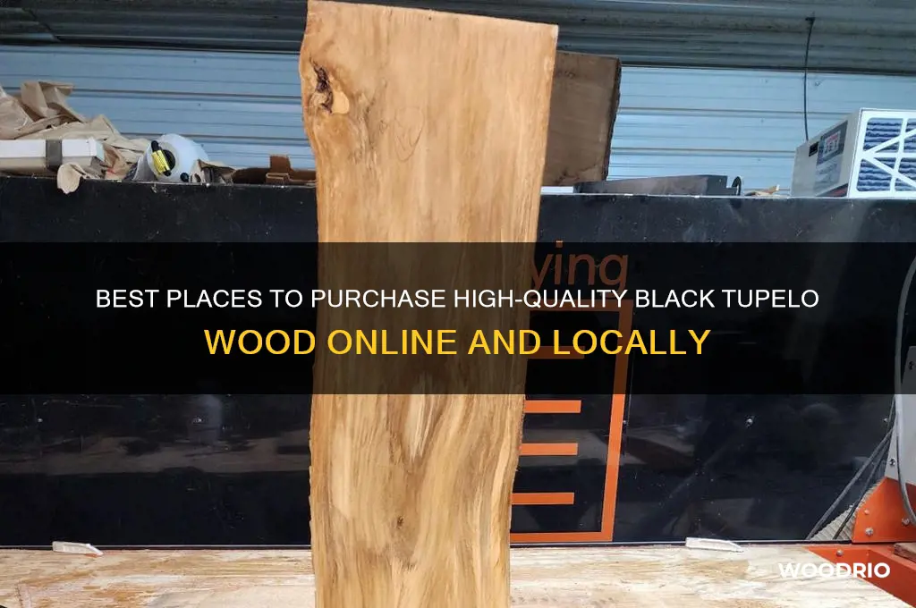 where to buy black tupelo wood