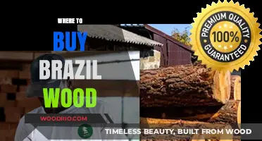Discover the Best Sources to Buy Authentic Brazil Wood Today