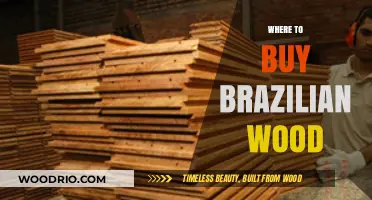 Discover the Best Sources to Buy Authentic Brazilian Wood Today