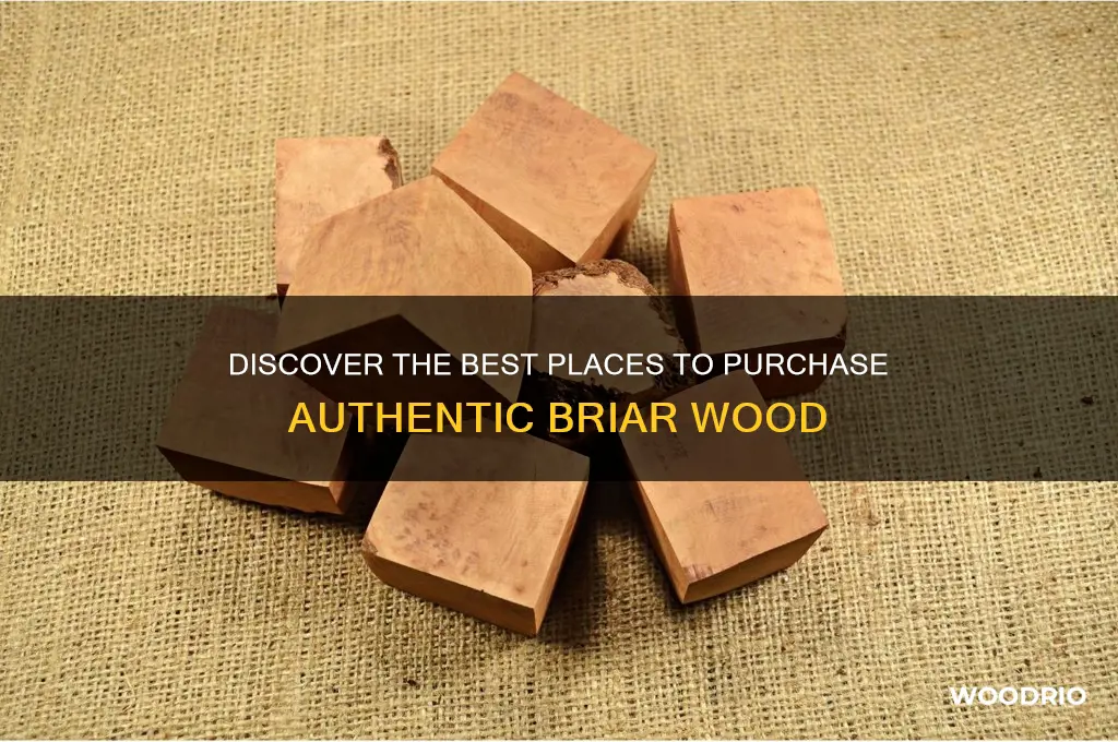 where to buy briar wood