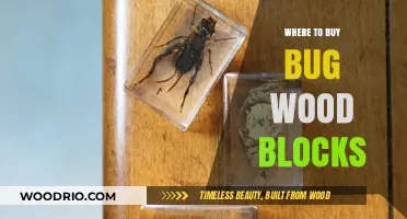 Discover the Best Places to Buy Bug Wood Blocks Online