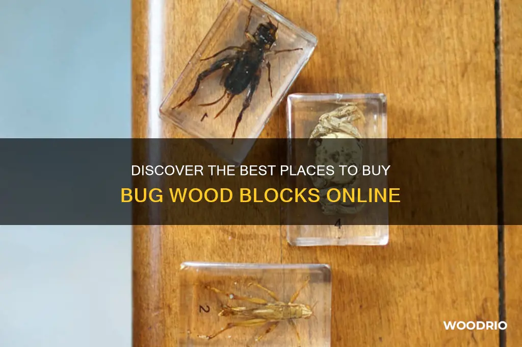where to buy bug wood blocks