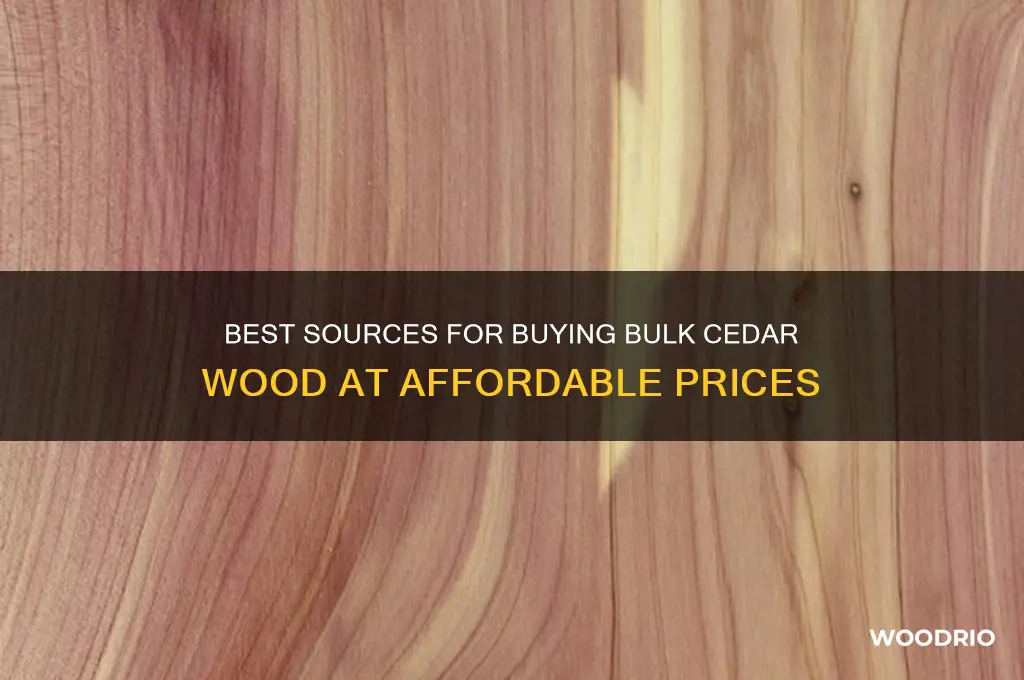 where to buy bulk cedar wood