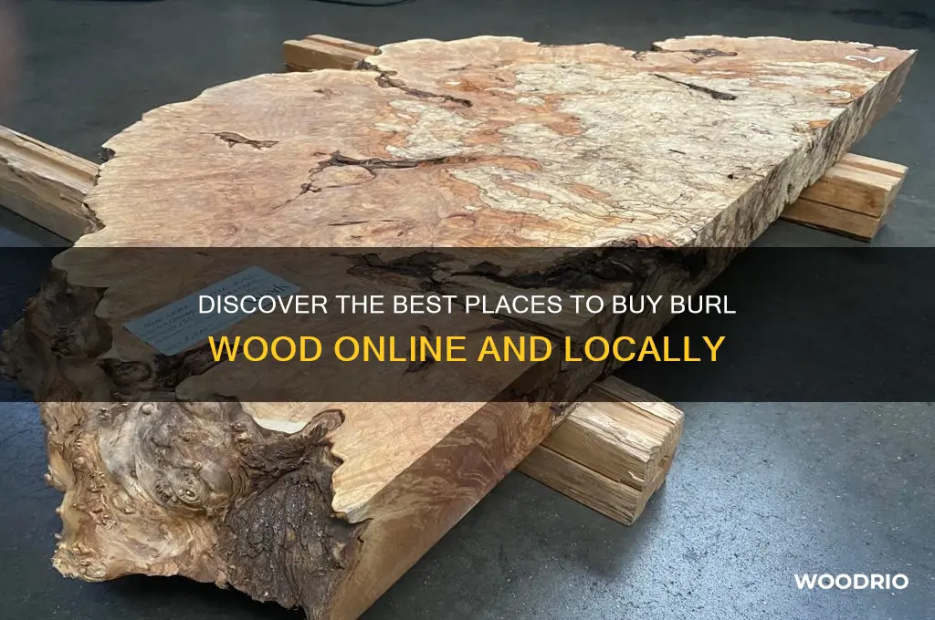 where to buy burl wood