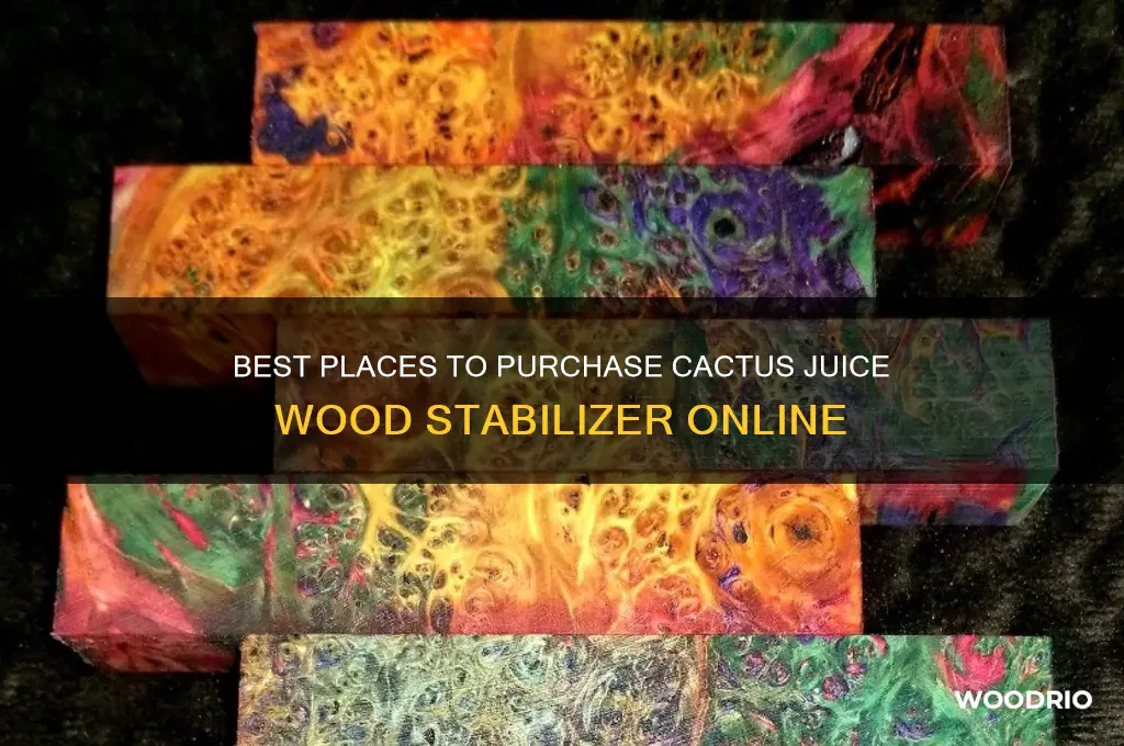 where to buy cactus juice wood stabilizer
