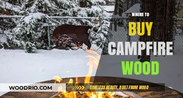 Best Places to Buy Campfire Wood for Your Outdoor Adventure