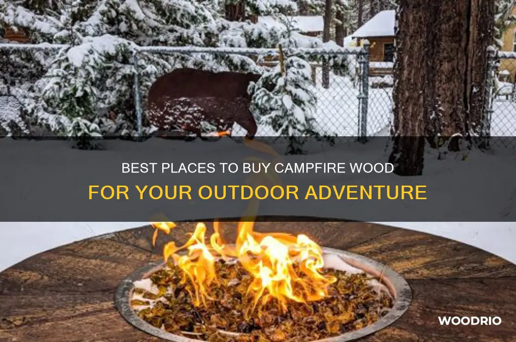 where to buy campfire wood