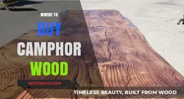 Discover the Best Places to Buy Authentic Camphor Wood Online