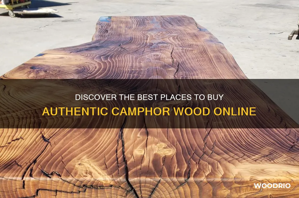 where to buy camphor wood