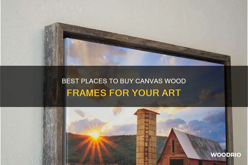 where to buy canvas wood frames