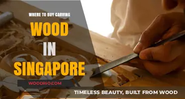Best Places to Buy Carving Wood in Singapore for Crafters