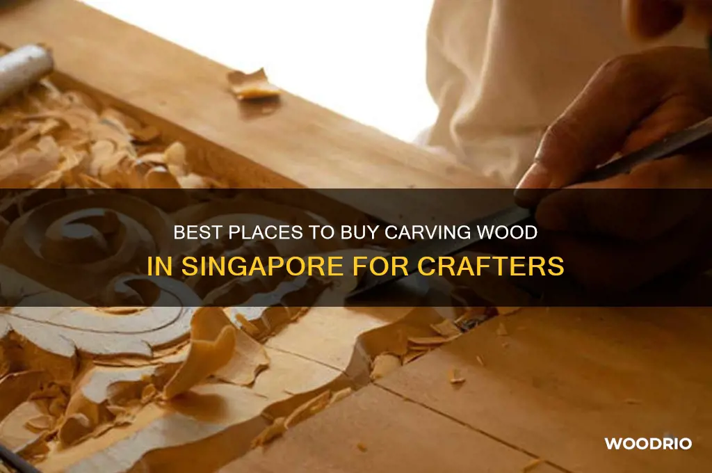 where to buy carving wood in singapore