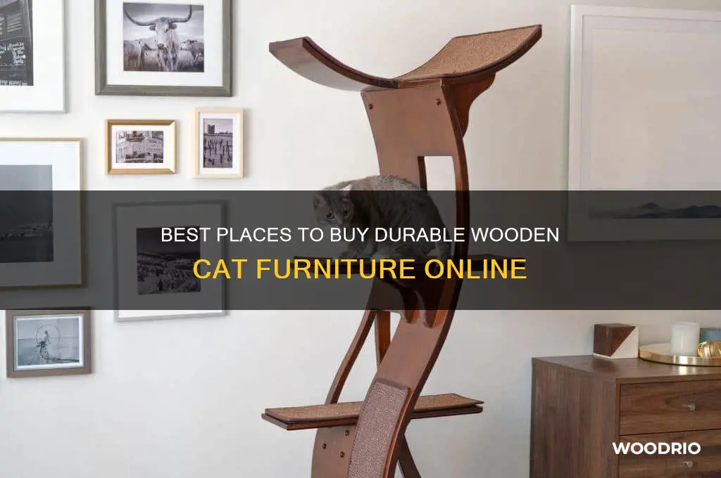 where to buy cat furniture wood