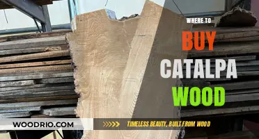Discover the Best Sources to Buy Catalpa Wood Today