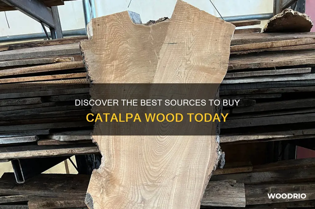 where to buy catalpa wood