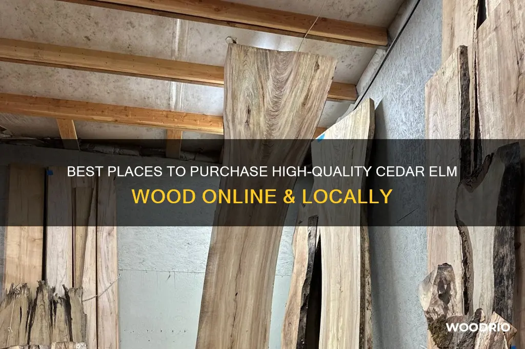 where to buy cedar elm wood