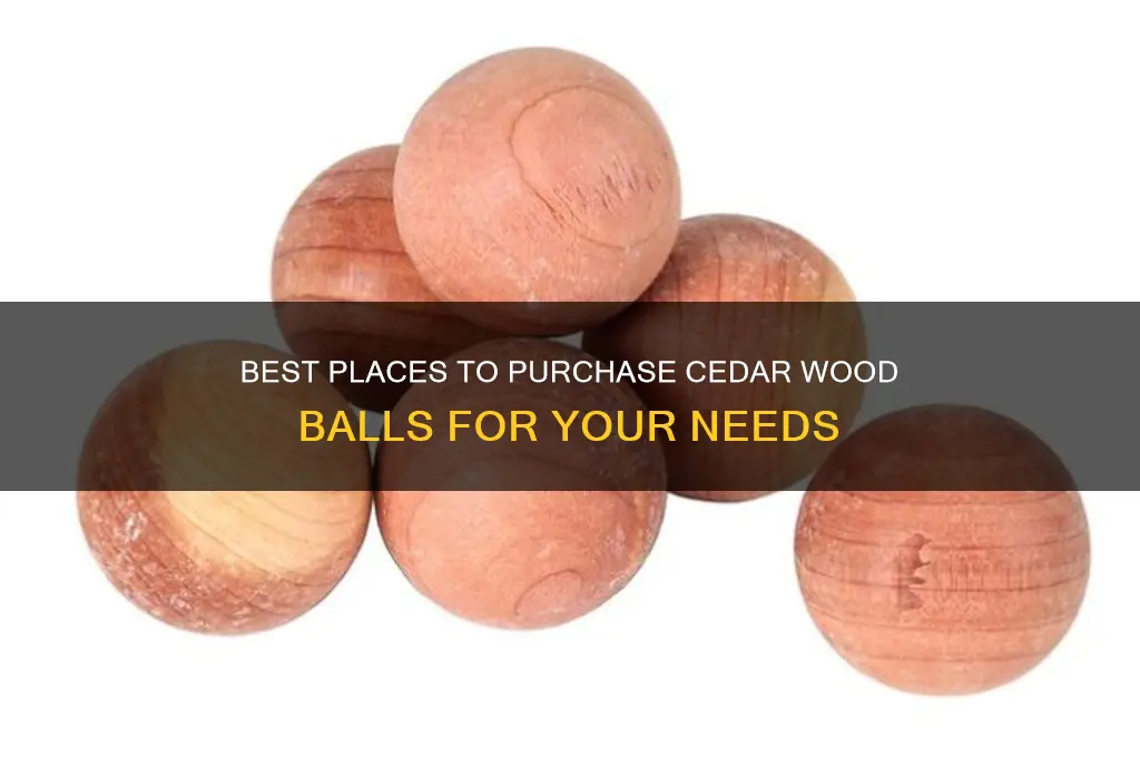 where to buy cedar wood balls