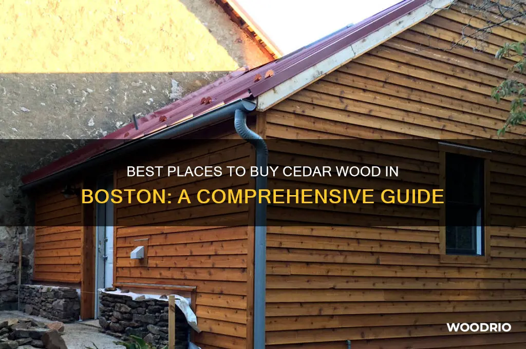 where to buy cedar wood boston