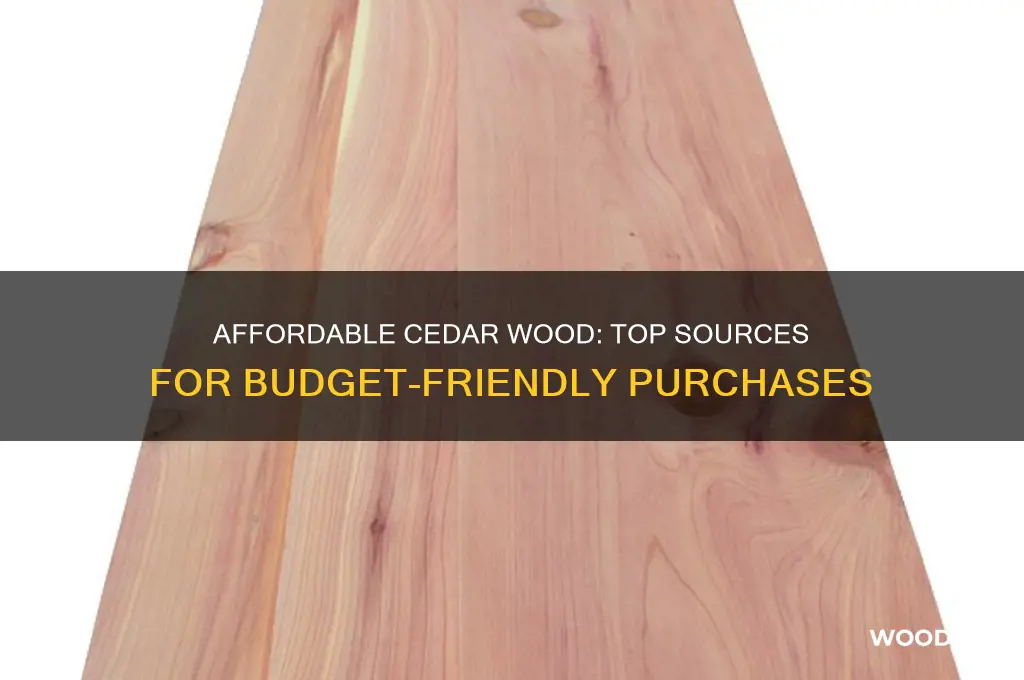where to buy cedar wood cheap