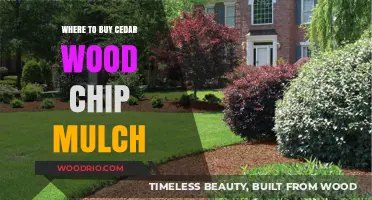 Best Places to Purchase Cedar Wood Chip Mulch for Your Garden