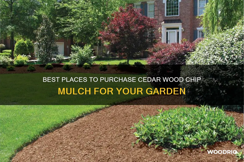where to buy cedar wood chip mulch