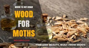 Best Places to Purchase Cedar Wood for Moth Repellent Solutions
