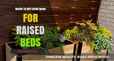 Best Places to Purchase Cedar Wood for Raised Garden Beds