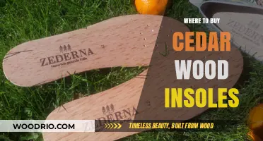 Best Places to Purchase Cedar Wood Insoles for Comfort and Odor Control