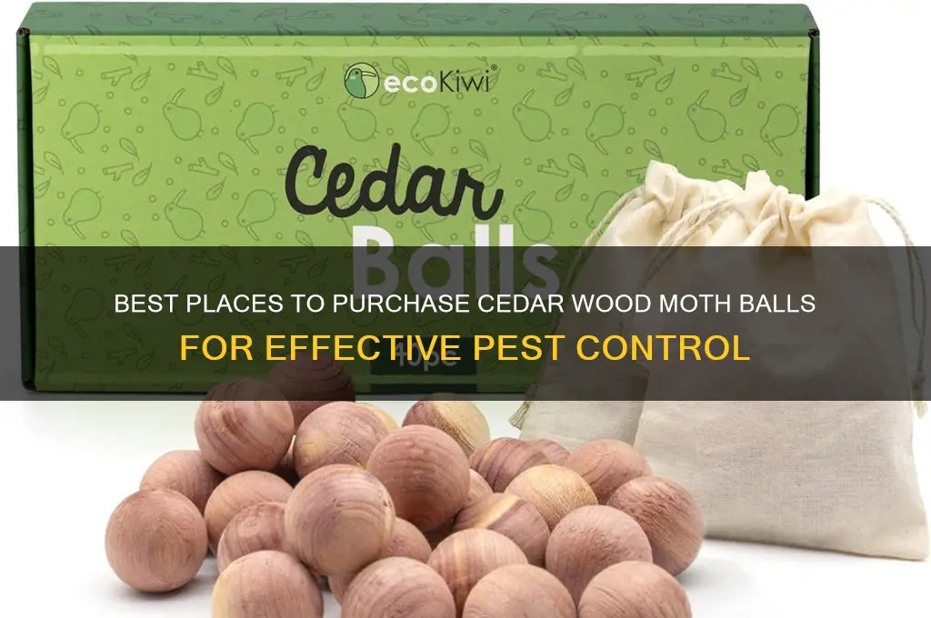 where to buy cedar wood moth balls
