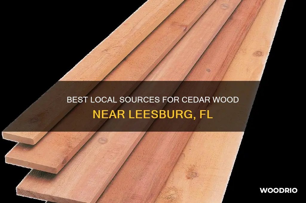 where to buy cedar wood near leesburg fl