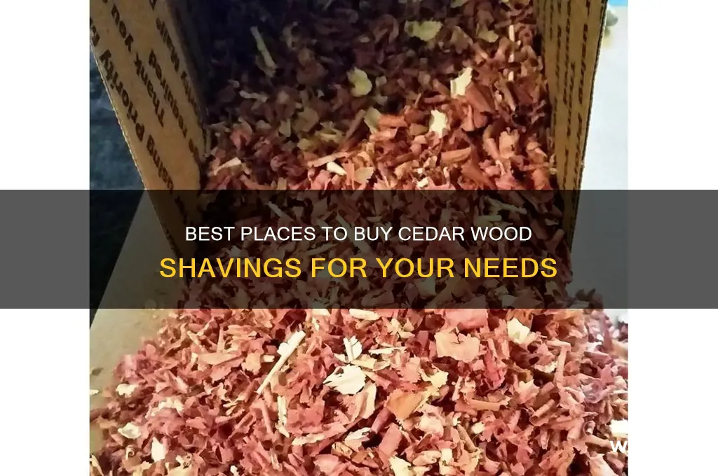 where to buy cedar wood shavings