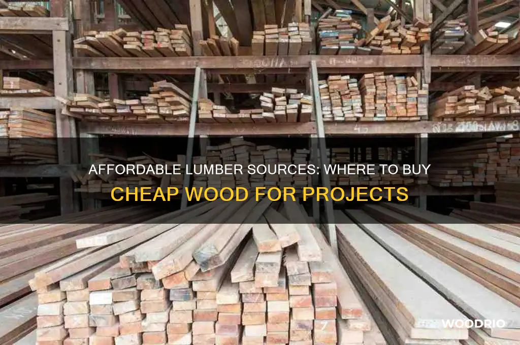 where to buy cheap lumber wood