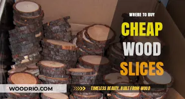 Affordable Wood Slices: Top Places to Buy Without Breaking the Bank