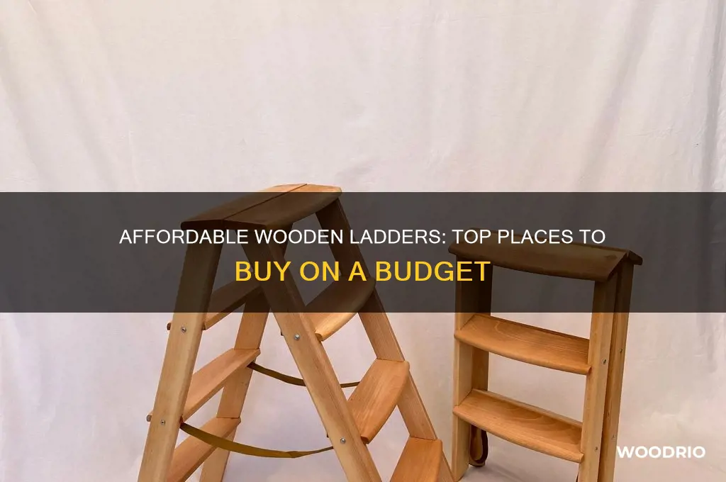 where to buy cheap wooden ladders
