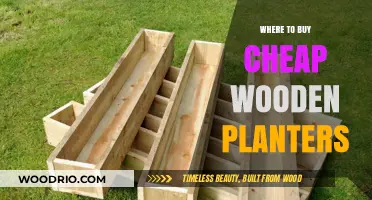 Affordable Wooden Planters: Top Places to Buy on a Budget