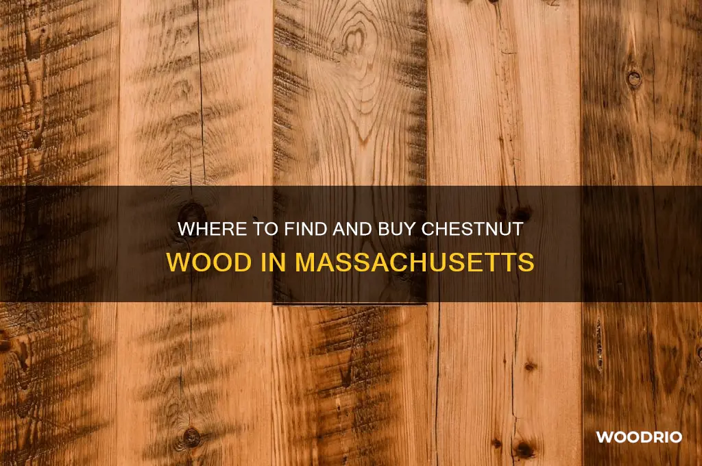 where to buy chestnut wood in masssachusetts