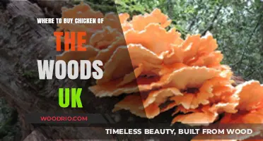 Discover Top UK Spots to Buy Chicken of the Woods