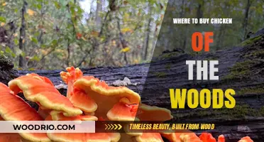 Discover Top Spots to Buy Chicken of the Woods Mushrooms