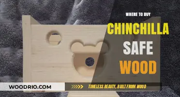 Best Chinchilla-Safe Wood Options: Where to Buy and Shop Guide
