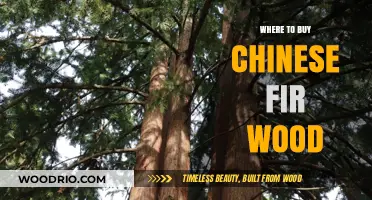 Best Places to Purchase High-Quality Chinese Fir Wood Online & Locally
